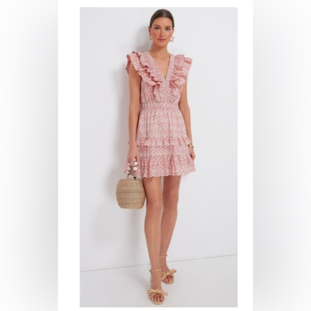 Hyacinth House Pink April mini